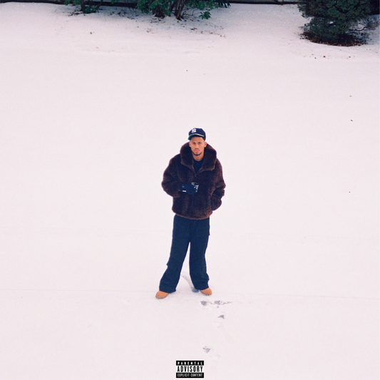 HINDSIGHT LP Digital + Physical